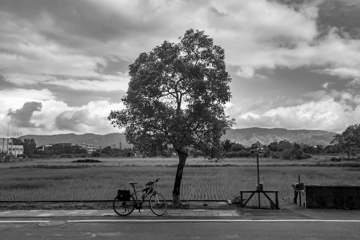 Shoufeng Vista