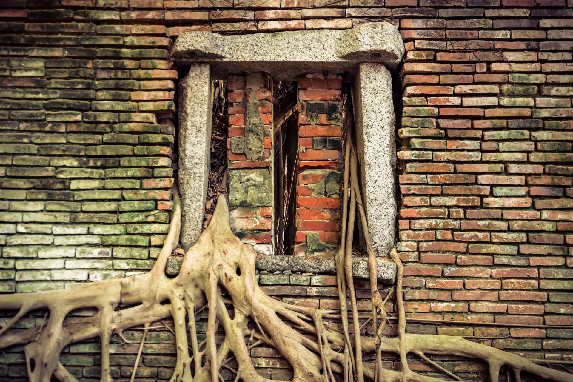 Anping Tree House