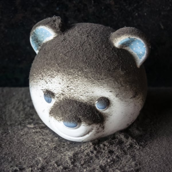 Dusty faced bear