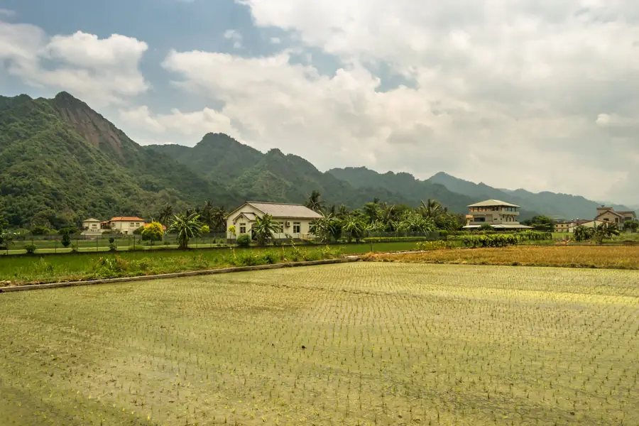 Postcards From Meinong