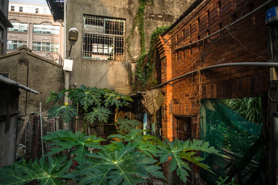 A rare old house in Zhongli