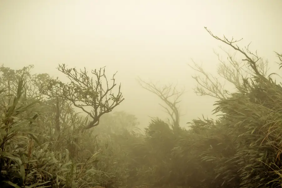 Yangmingshan Hike October 2013