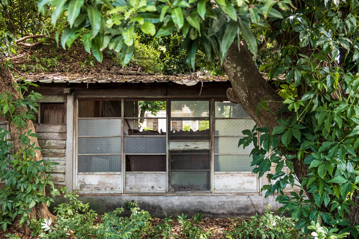 Around Back at Ōhashi-gumi Supervisor's Dormitory (豐里移民村大橋組指導官舍)
