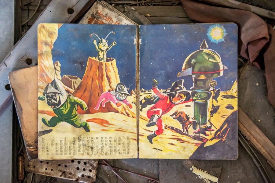 Space Cats and Dogs