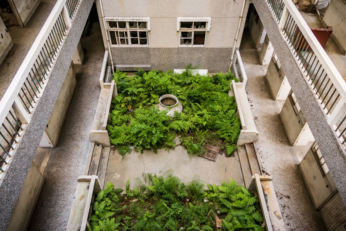 Fern Garden Courtyard Inside Xinglin General Hospital (杏林綜合醫院)
