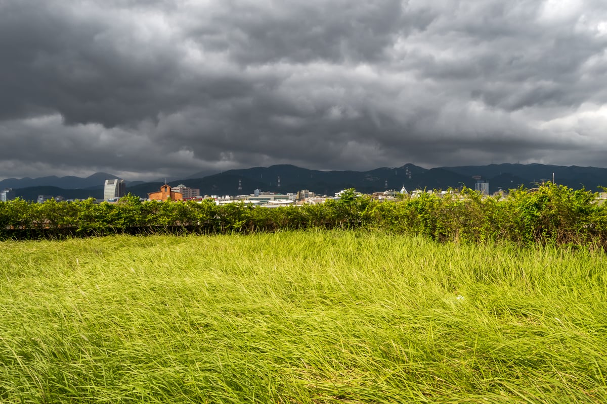 On the Grassy Rooftop at Grace Hill