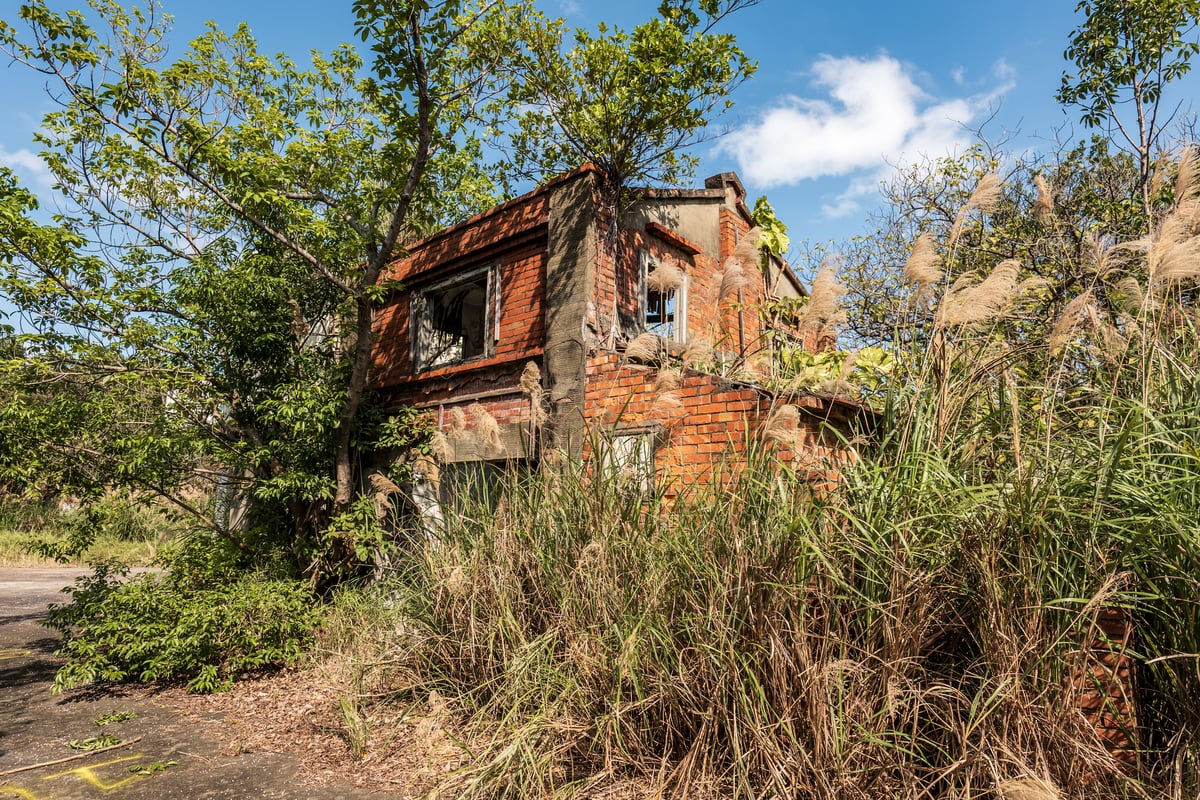 Overgrown House at Jianguo No. 9 Village (建國九村)